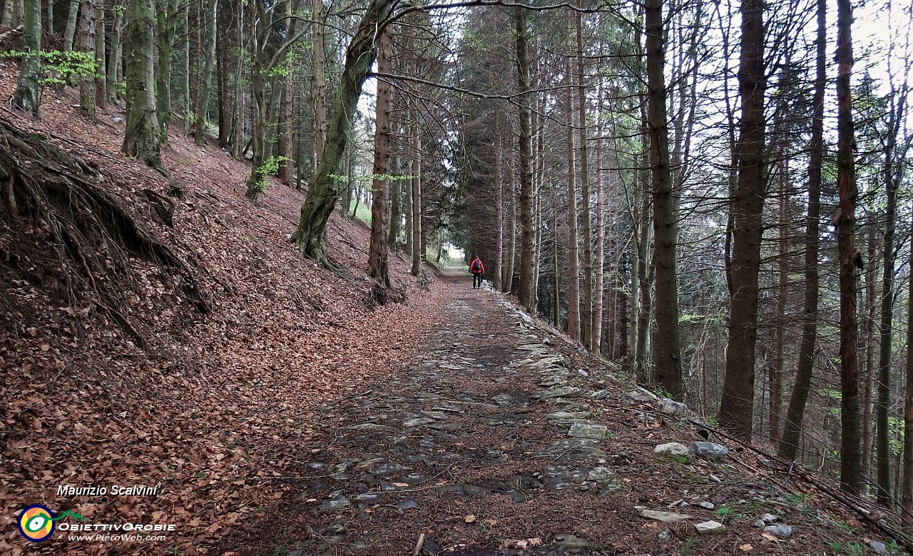 72 Una bella sterrata verde mi riporta verso Fuipiano....JPG